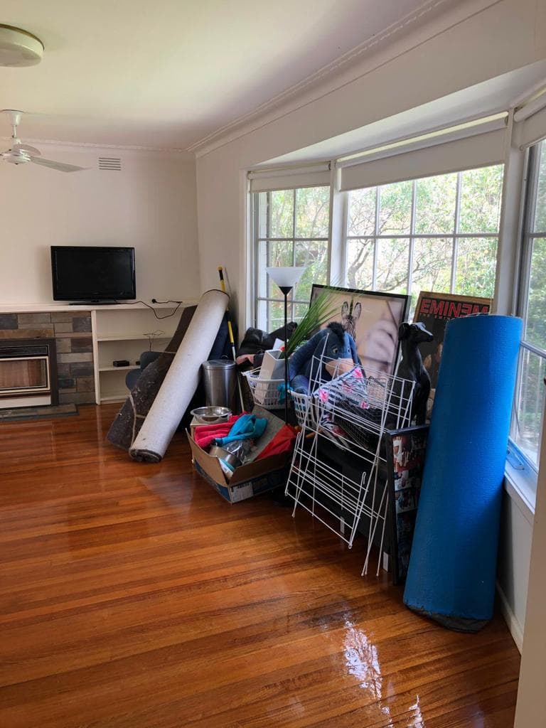 Cheap And Best Cleaning